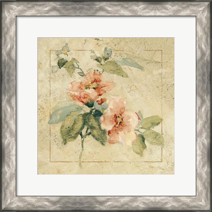 Framed Provence Rose I Print