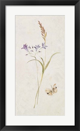 Framed Wild Wallflowers III Print