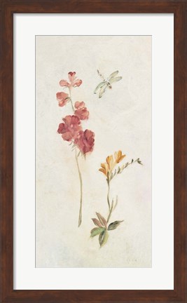 Framed Wild Wallflowers II Print