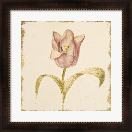 Framed Vintage Blue Parrot Tulip Crop Print