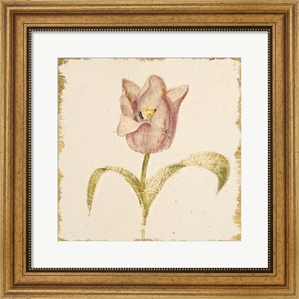 Framed Vintage Blue Parrot Tulip Crop Print