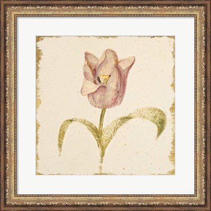 Framed Vintage Blue Parrot Tulip Crop Print