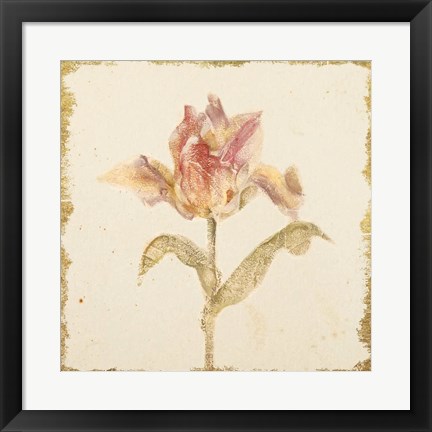 Framed Vintage Zoomer Schoon Tulip Crop Print