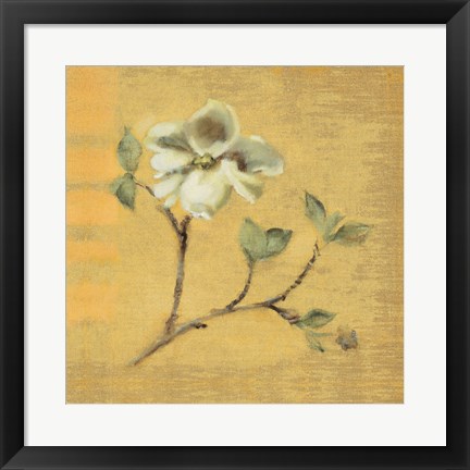 Framed Dogwood Blossom on Gold Print