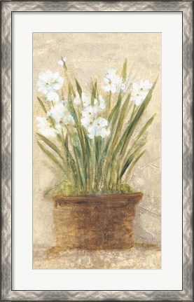 Framed Garden White Narcissus Panel Print