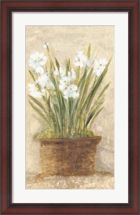 Framed Garden White Narcissus Panel Print