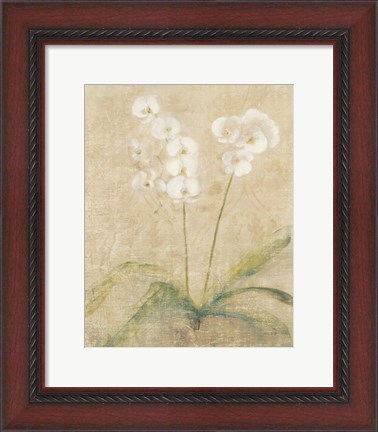 Framed Orchid Cool Print