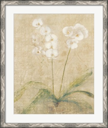 Framed Orchid Cool Print