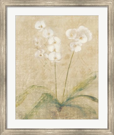 Framed Orchid Cool Print