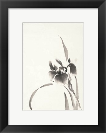 Framed Japanese Iris I Print