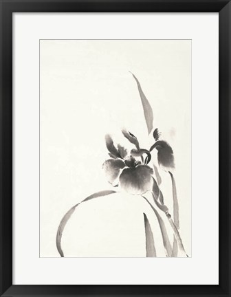 Framed Japanese Iris I Print