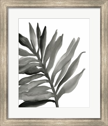 Framed Tropical Palm III BW Print