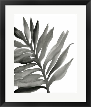 Framed Tropical Palm III BW Print