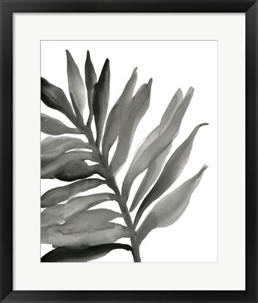 Framed Tropical Palm III BW Print