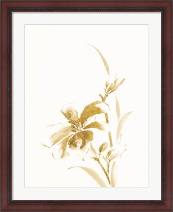 Framed Sumi Daylily IV Gold Print