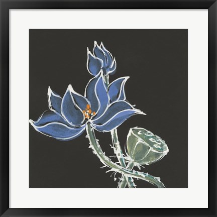 Framed Lotus on Black VI Print