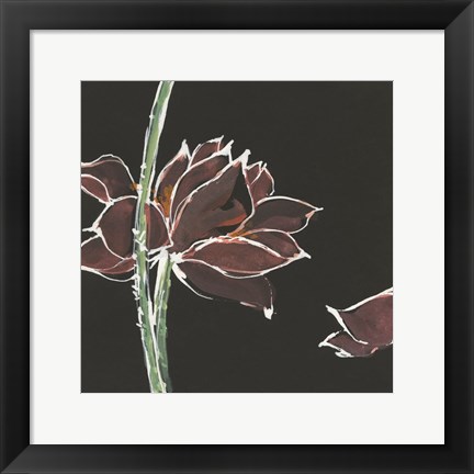 Framed Lotus on Black V Print