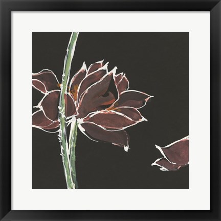 Framed Lotus on Black V Print