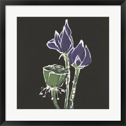 Framed Lotus on Black II Print