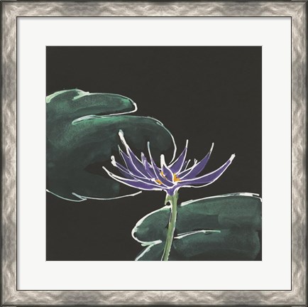 Framed Lily on Black II Print