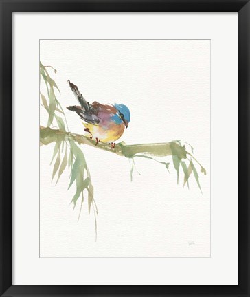 Framed Finch v2 Print