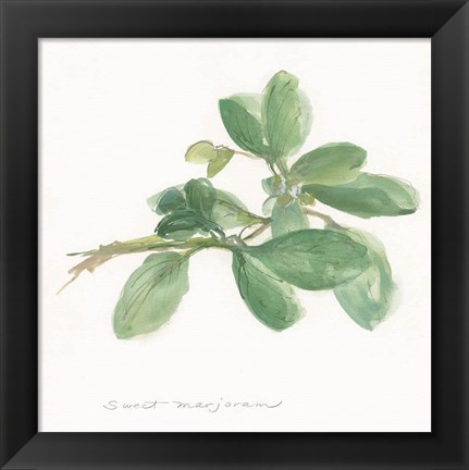 Framed Sweet Marjoram Print