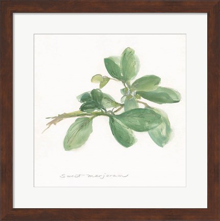 Framed Sweet Marjoram Print