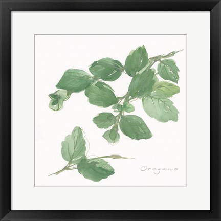 Framed Oregano Print