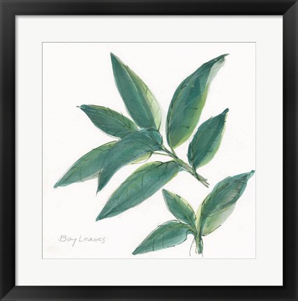 Framed Bay Leaf Print