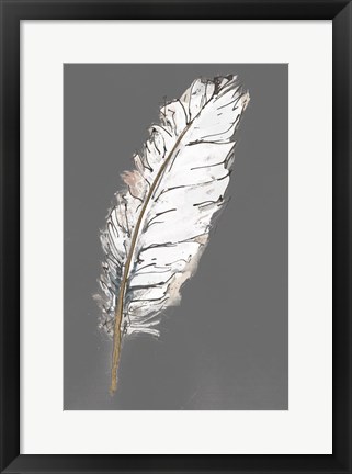 Framed Gold Feathers VII on Grey Print