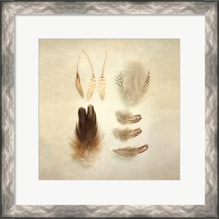 Framed Feathers II Square Print
