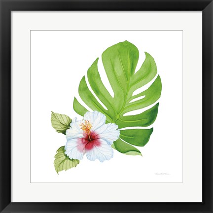 Framed Treasures of the Tropics VIII Print