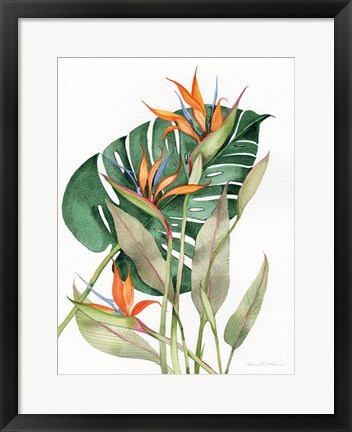 Framed Botanical Birds of Paradise Print