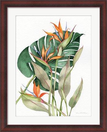 Framed Botanical Birds of Paradise Print