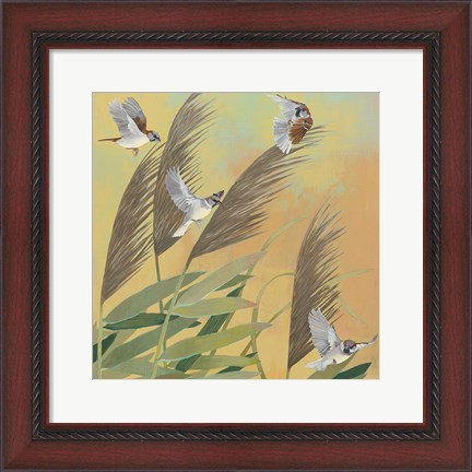Framed Sparrows and Phragmates Sq Print