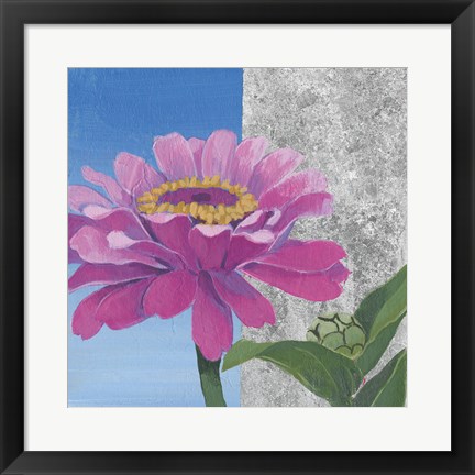 Framed Zinnia Pink and Silver Print