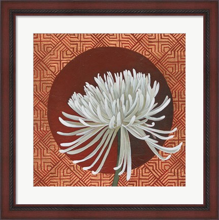 Framed Morning Chrysanthemum III Print