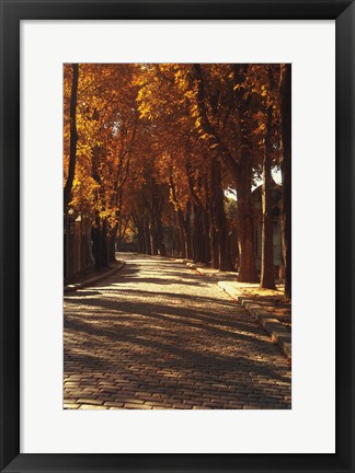 Framed Pere La Chaise Print