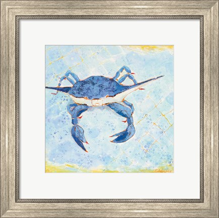 Framed Blue Crab VI Print