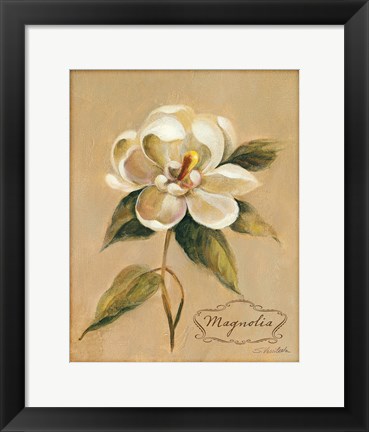Framed December Magnolia Vintage Print