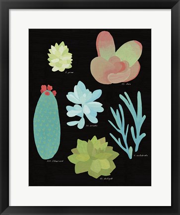 Framed Succulent Chart II Print