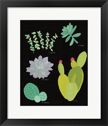 Framed Succulent Chart III Print