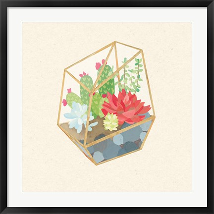 Framed Succulent Terrarium IV Print