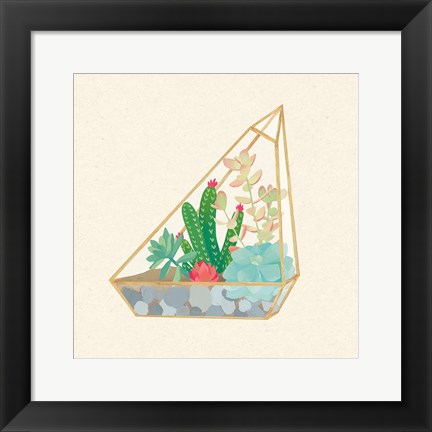 Framed Succulent Terrarium V Print
