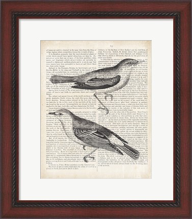Framed Vintage Birds on Newsprint Print