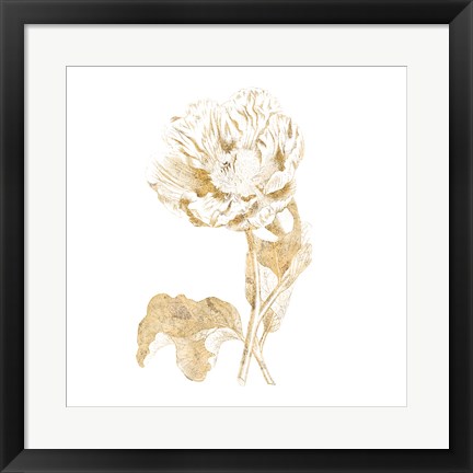 Framed Gilded Botanical VII Sq Print