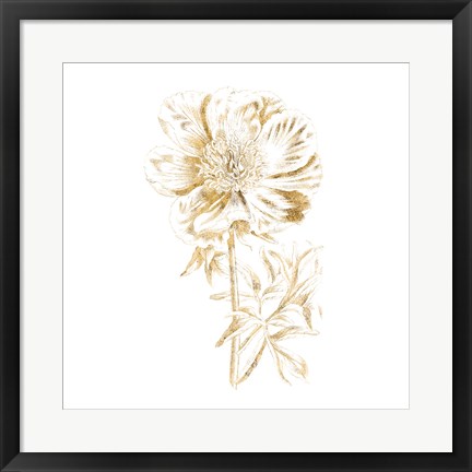 Framed Gilded Botanical VIII Sq Print