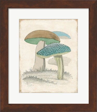 Framed Funghi Italiani Mushrooms Print