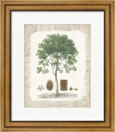 Framed Garden Trees I - Tropical Gayc Tree Print
