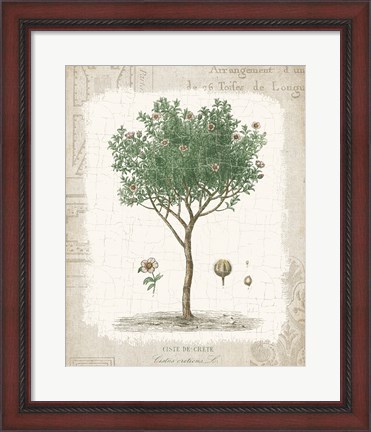 Framed Garden Trees I - Ciste de Crete Print